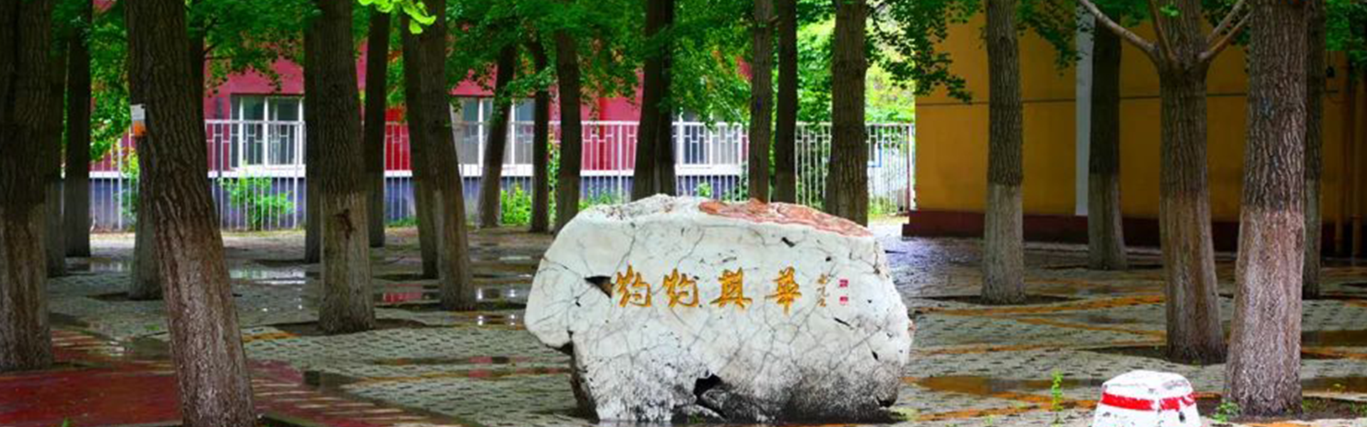 雷火电竞亚洲官网